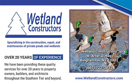 Wetland Constructors Post Card